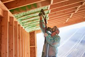 Best Insulation for New Construction  in Lemmon Valley, NV